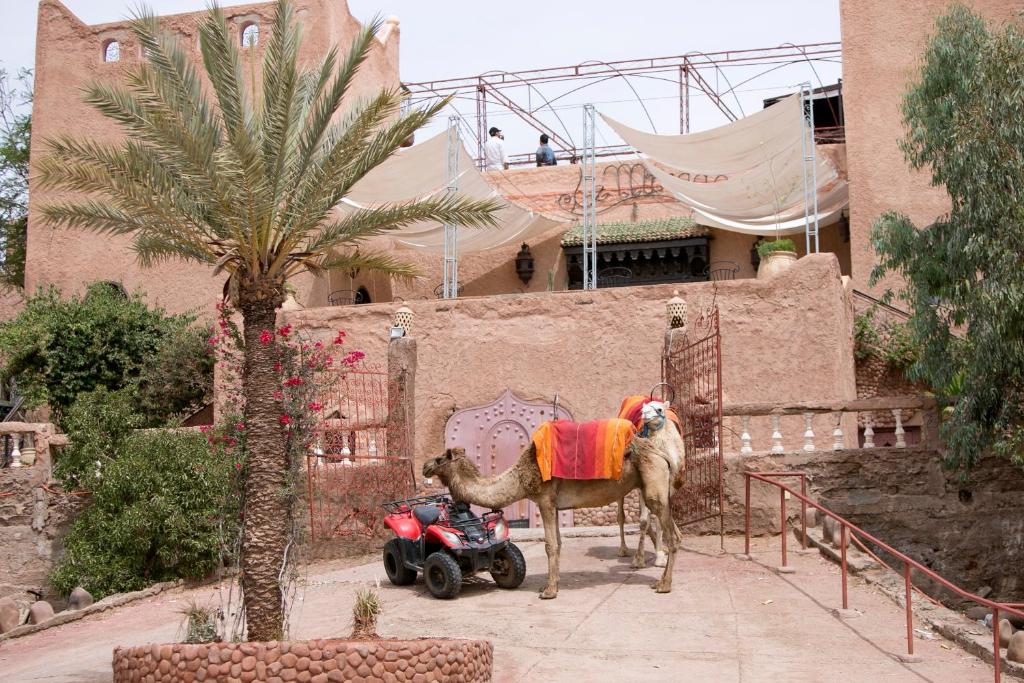 Hotel Kasbah Le Mirage & Spa — Hotel building in Marrakech, Marrakech-Tensift-Al Haouz