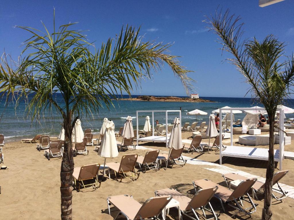 Bella Elena by Checkin