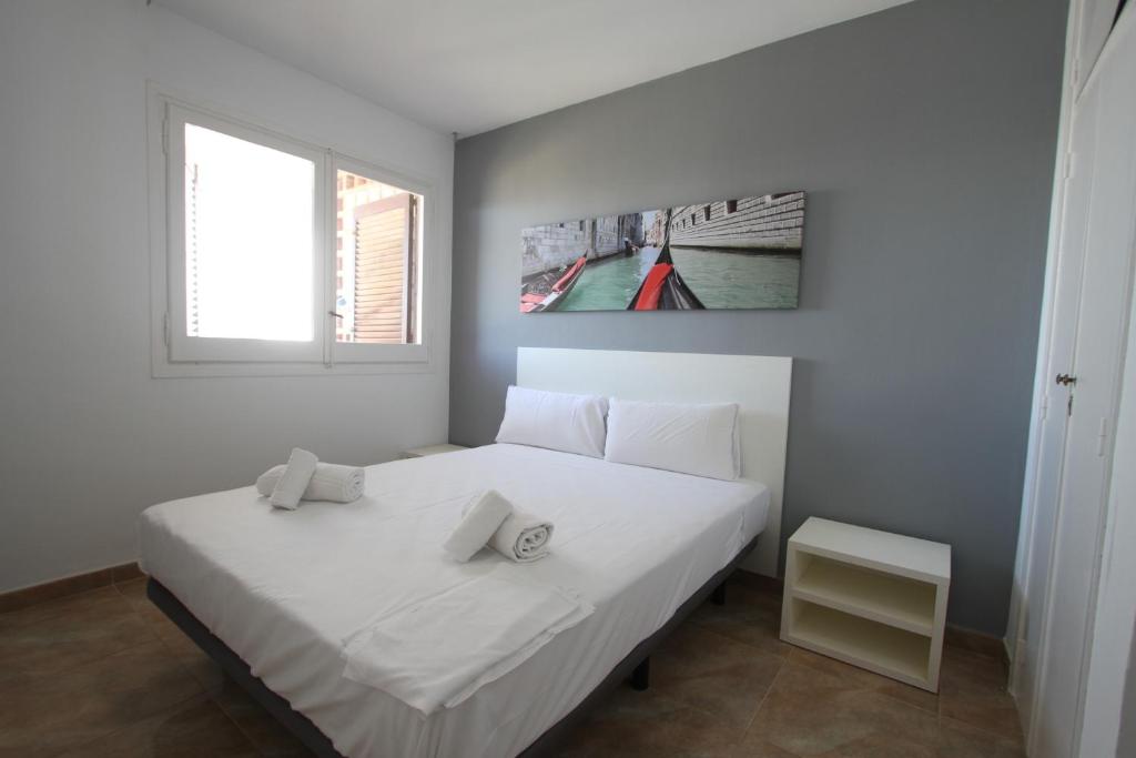 For a Stay Sant Jordi - 2