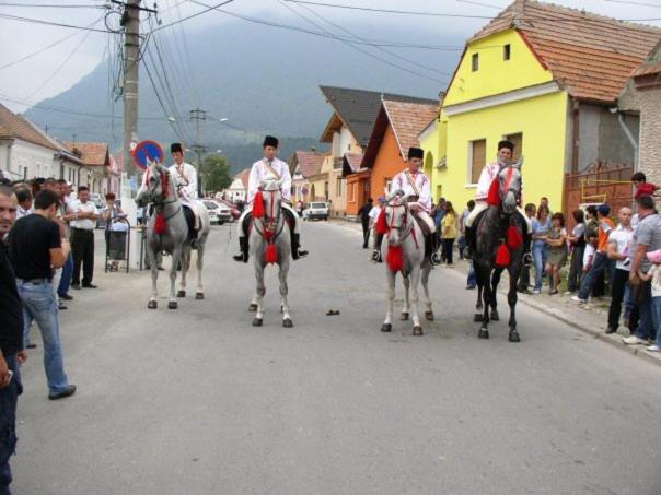 Sura Pietrei Craiului photo