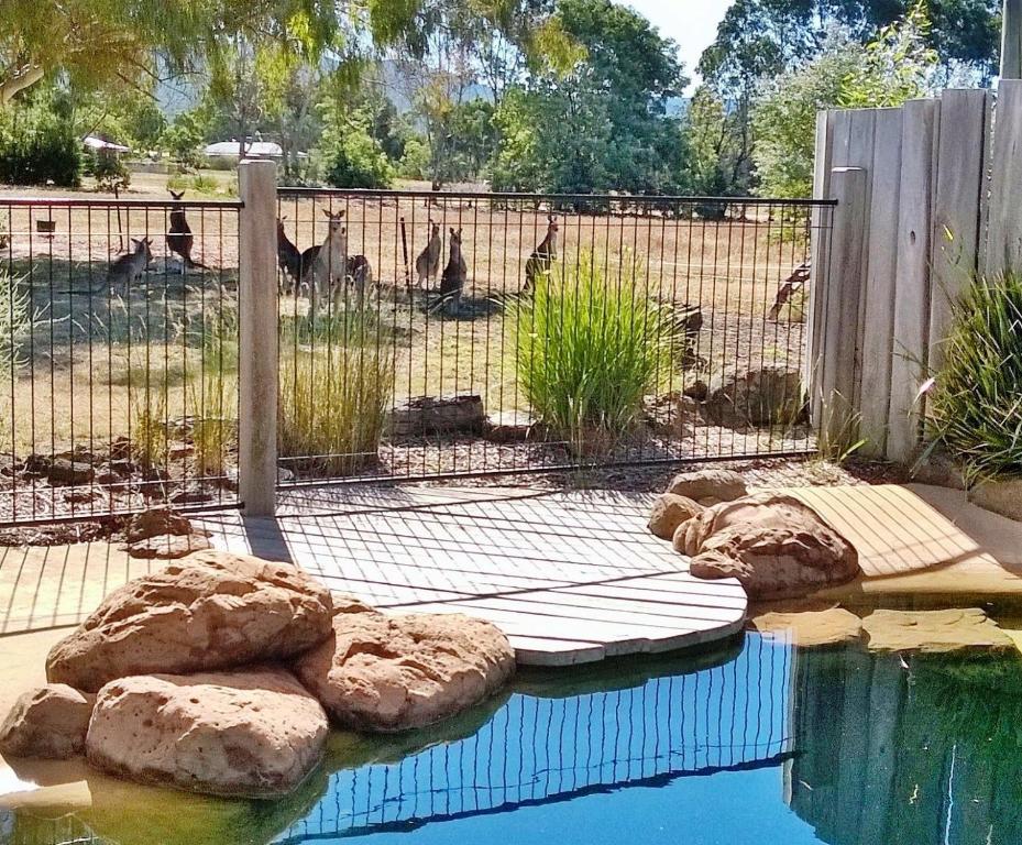 Pomonal Cottages Grampians photo