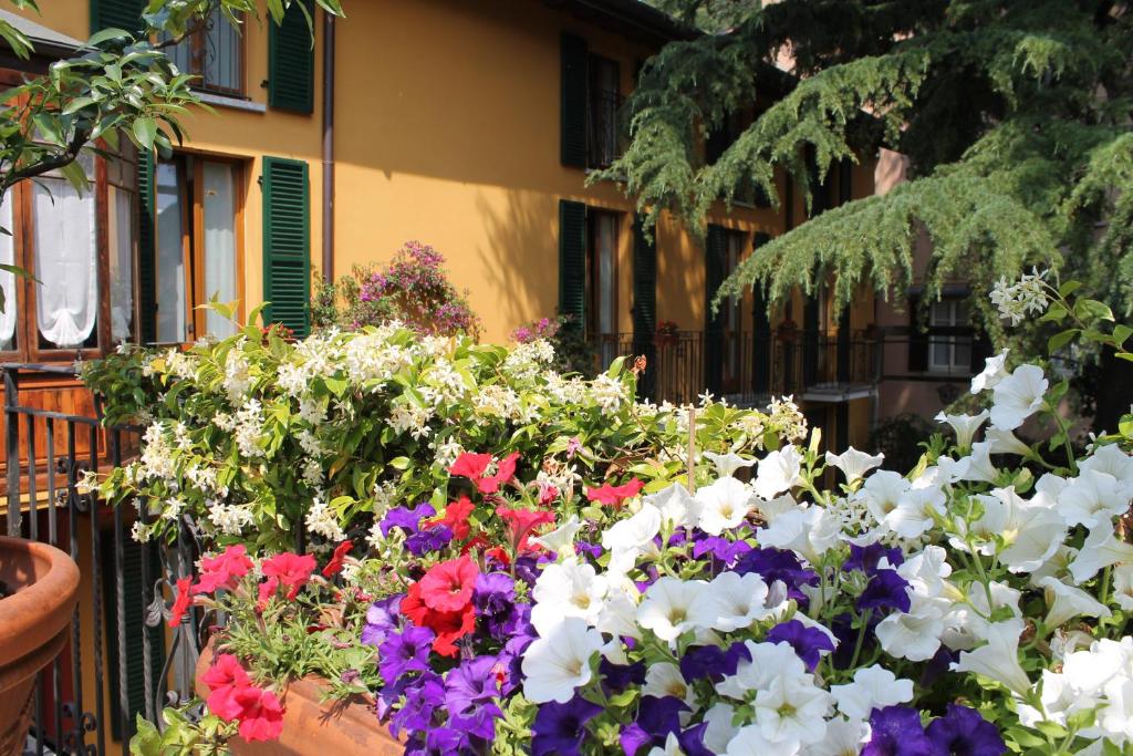 Hotel Centrale Bellagio photo