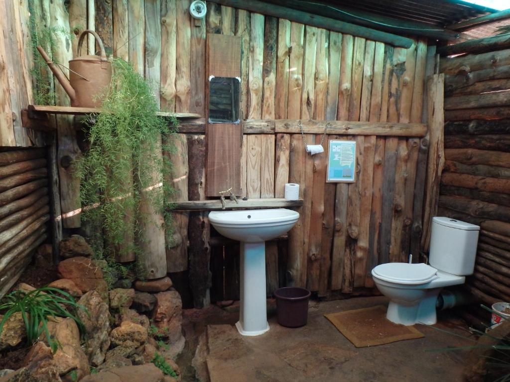 Joy River Backpackers photo