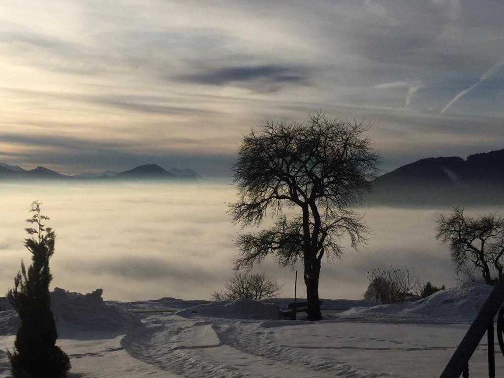 Surrounding environment