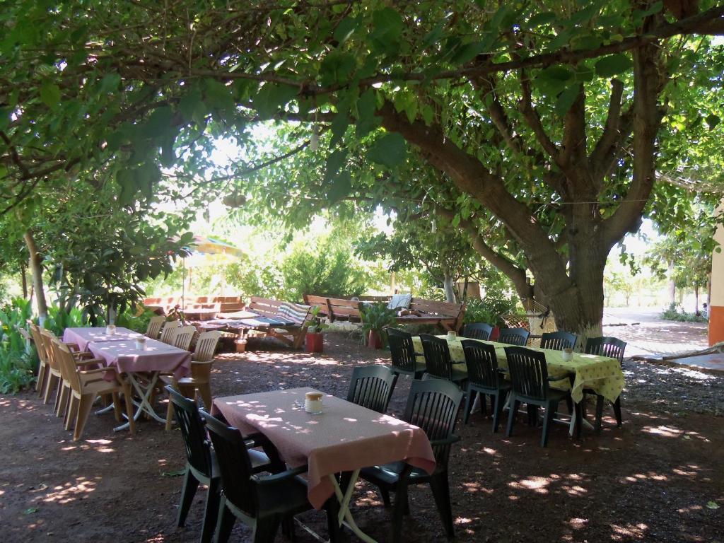 알리바바 펜션 호텔 이미지 2