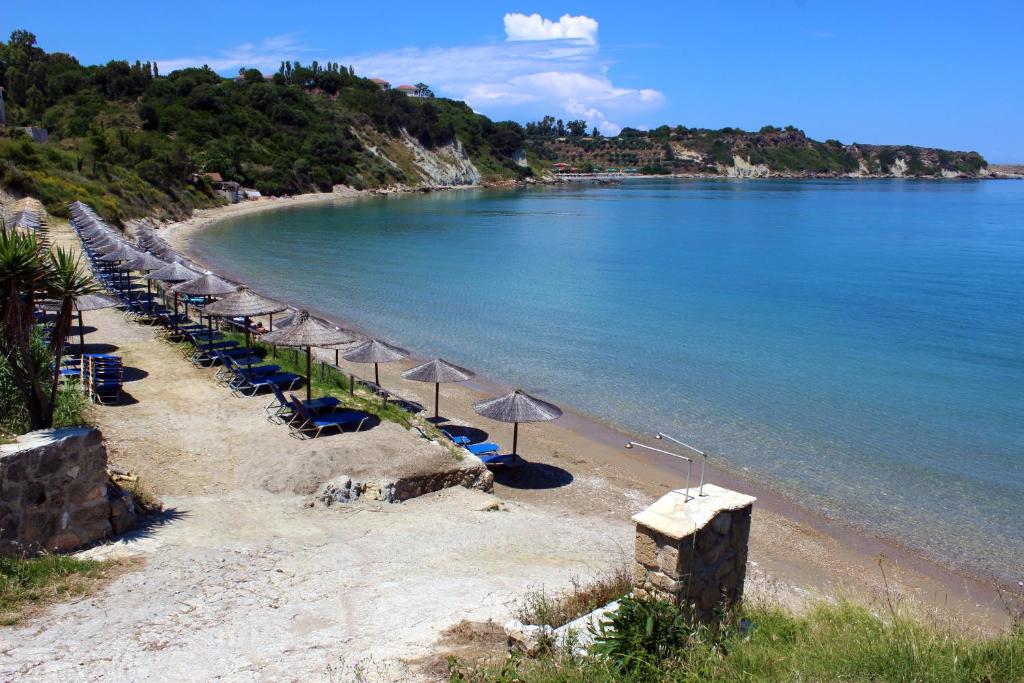 Zante Yliessa photo