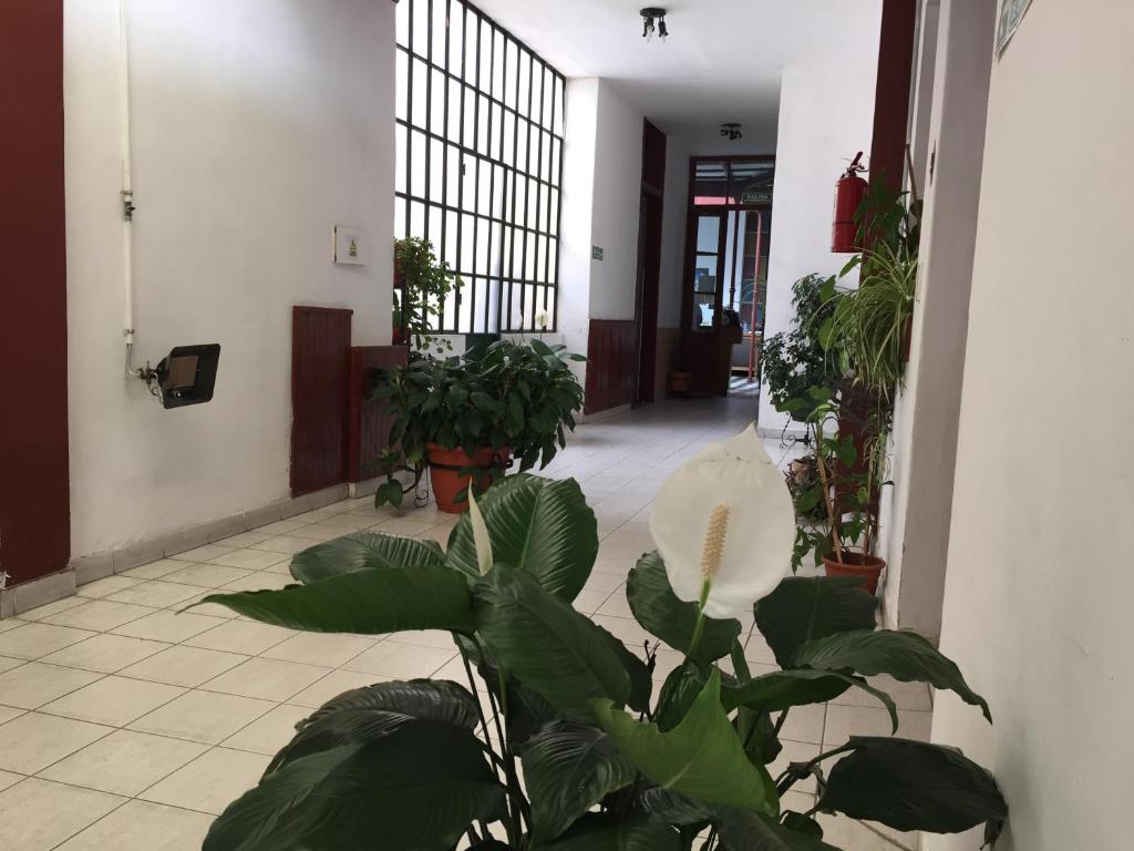 편의 시설/서비스