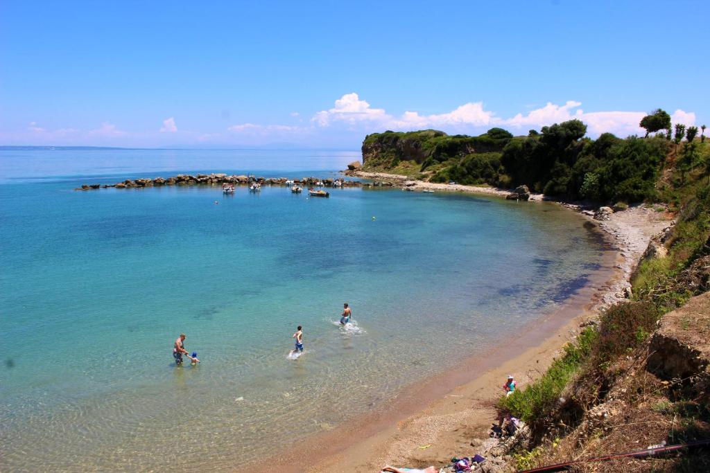Zante Yliessa photo