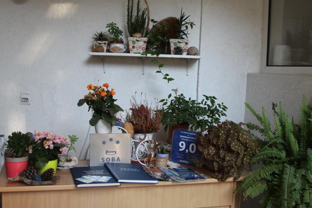 Apartments Becic photo