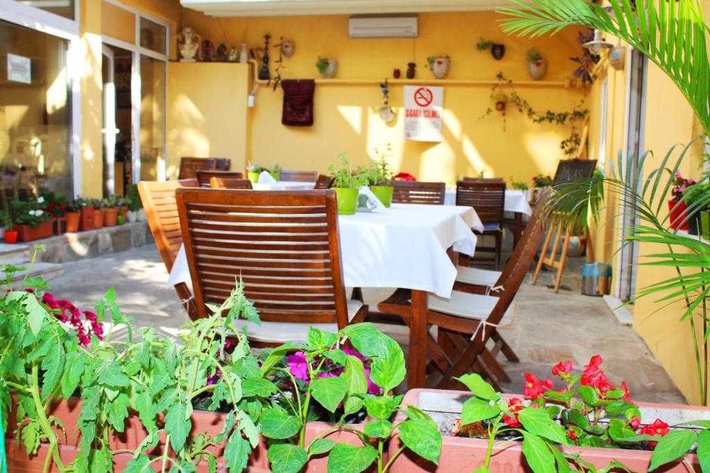 طعام و مشروبات