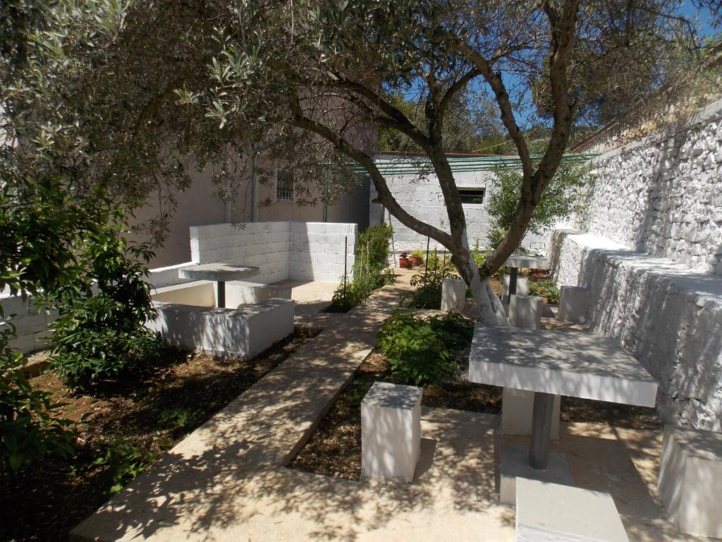 Guest house Vila Bega photo