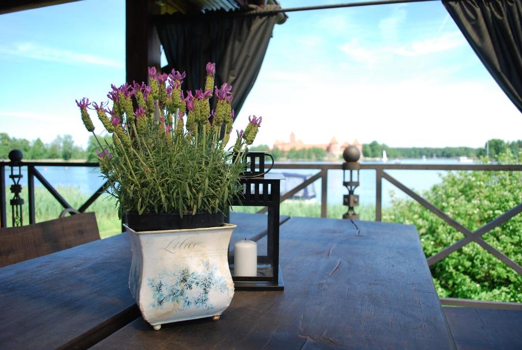 Viva Trakai photo