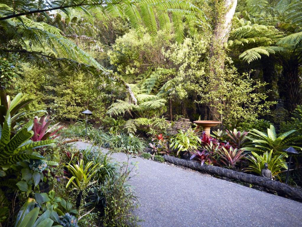 Surrounding environment