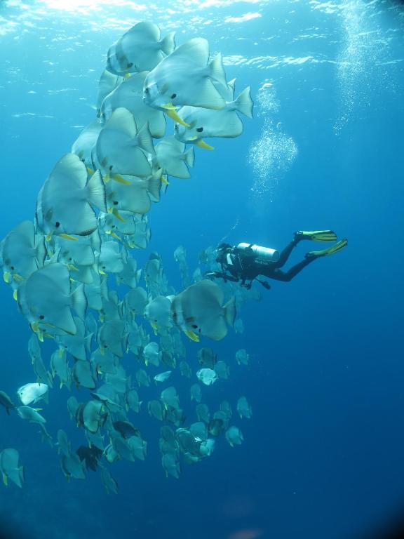 Sports and activities