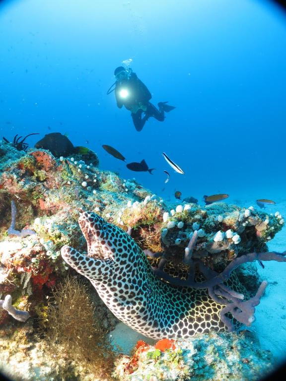 Sport és szabadidő