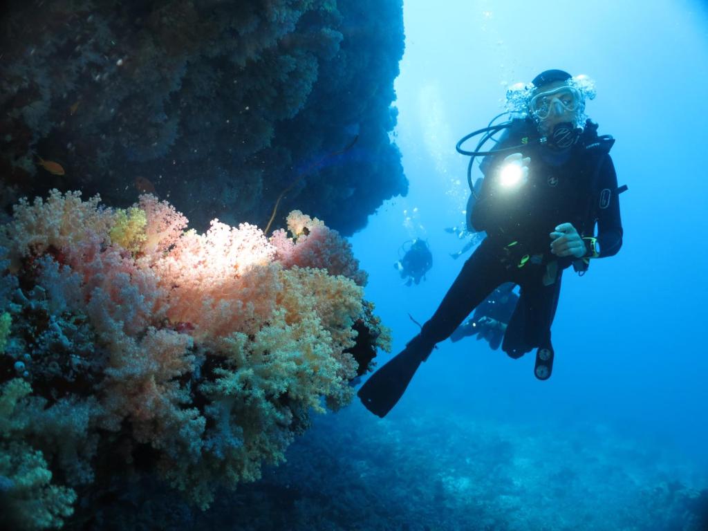 Sport és szabadidő