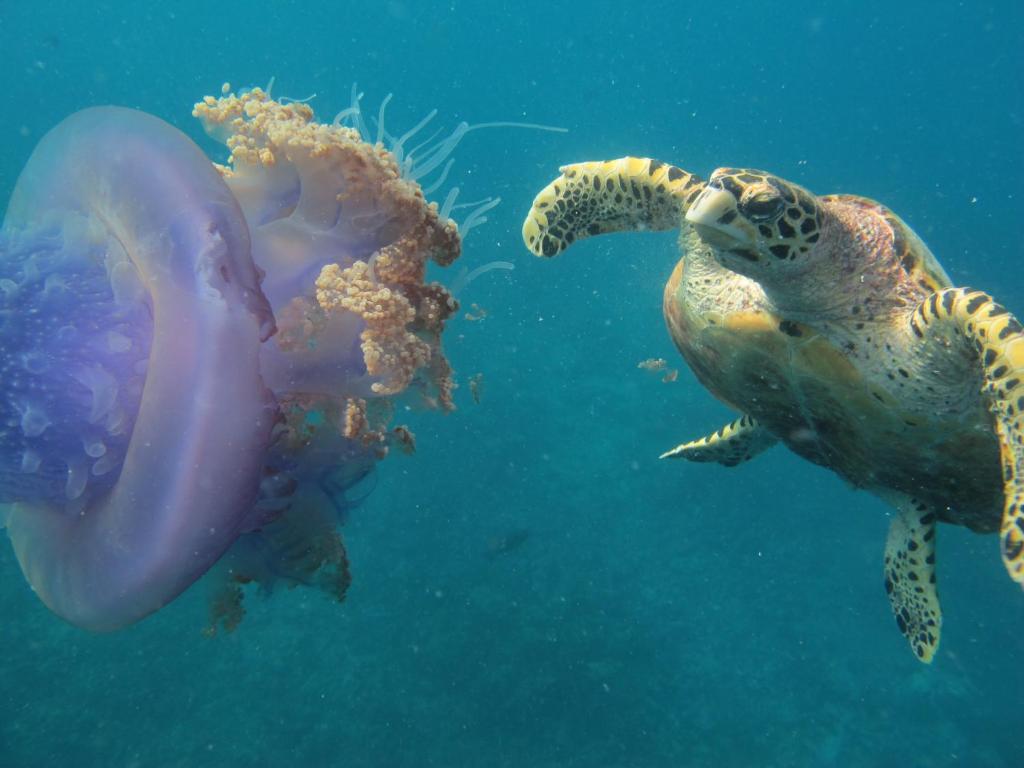 Surrounding environment