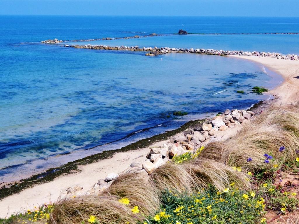 Nearby attraction, Elis Hotel in Bat Yam