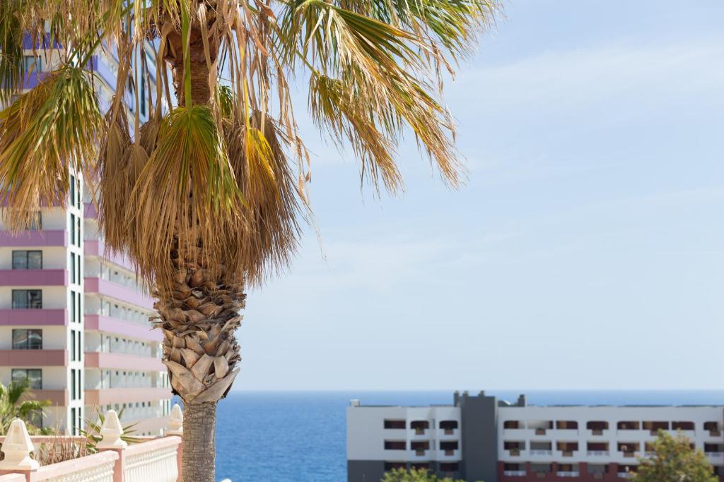 Paradise Luxury Apartment photo