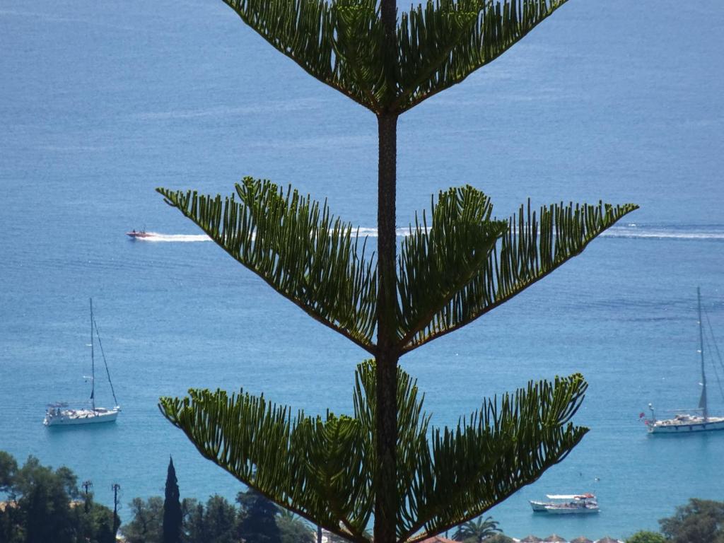 Surrounding environment