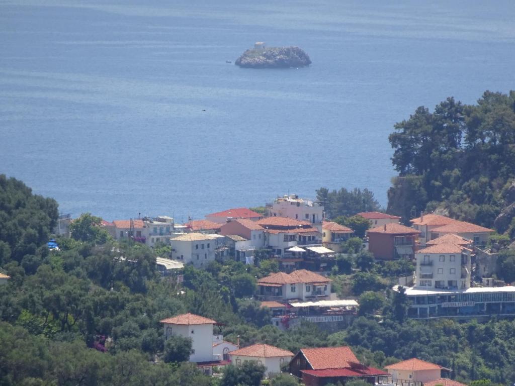 View
