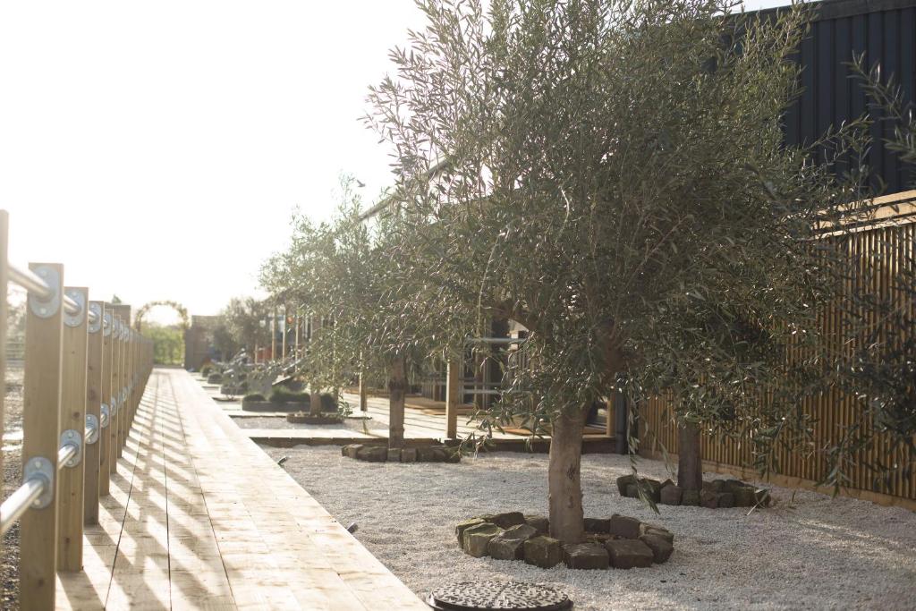 Surrounding environment