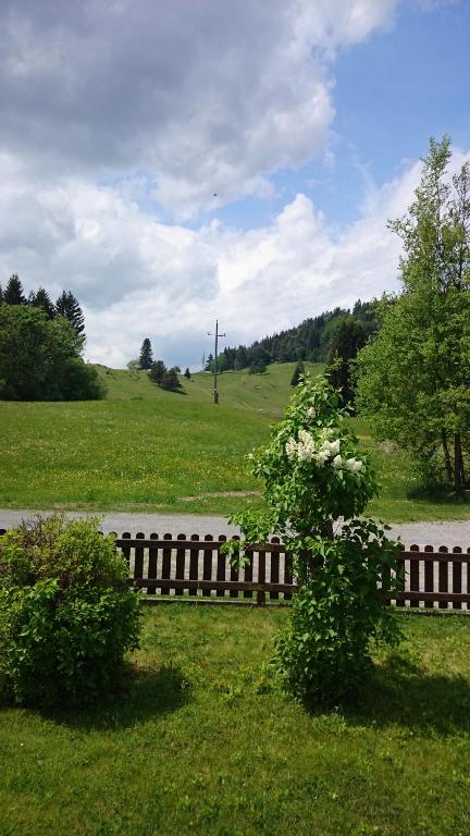 Haus Alpina - 4