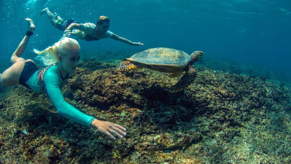 Sports and activities