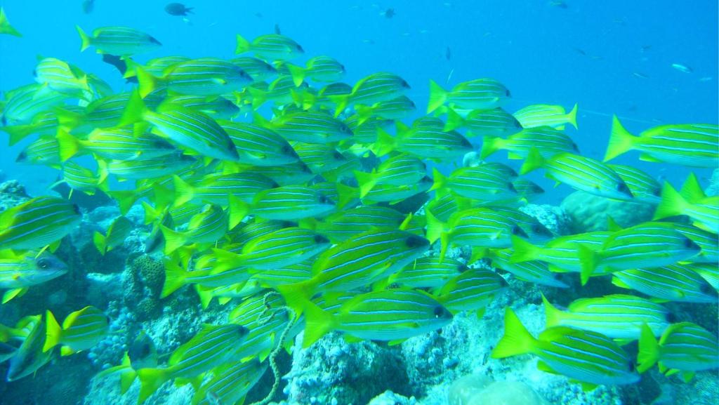 Sport és szabadidő