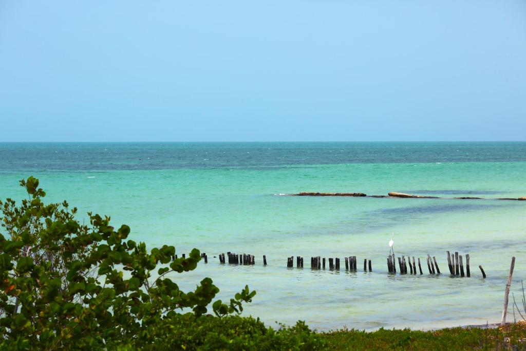 Spirit Holbox photo