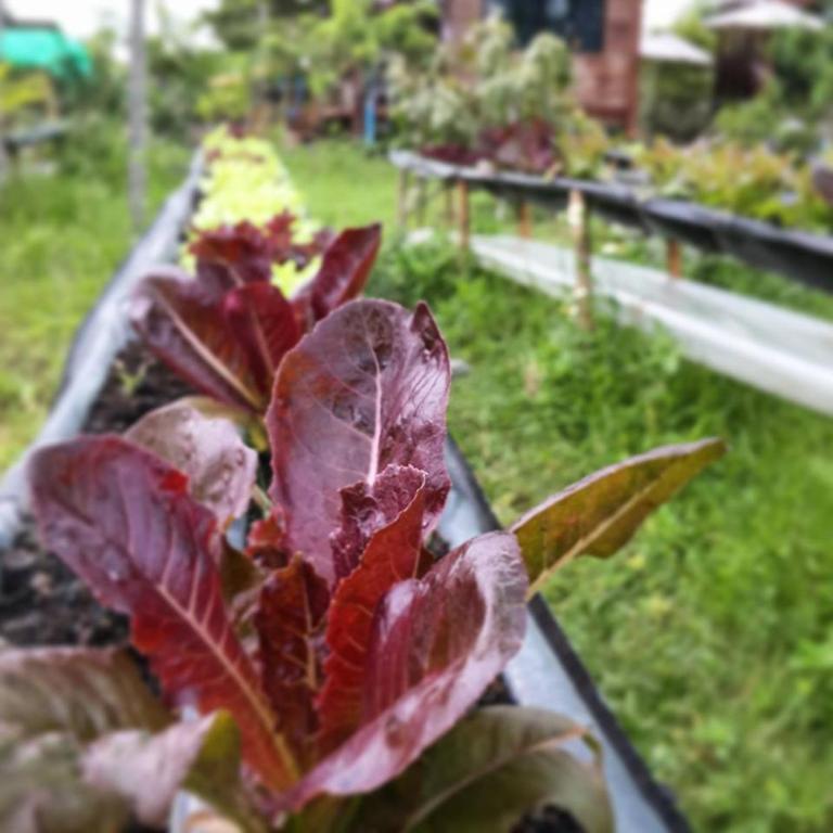 Surrounding environment