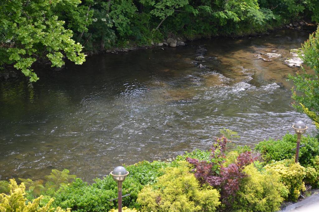 Surrounding environment