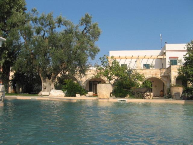 Swimming pool, Masseria Asciano in Ostuni
