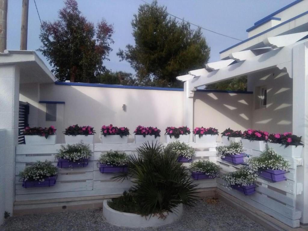 Blu d'aMare B&B - 5