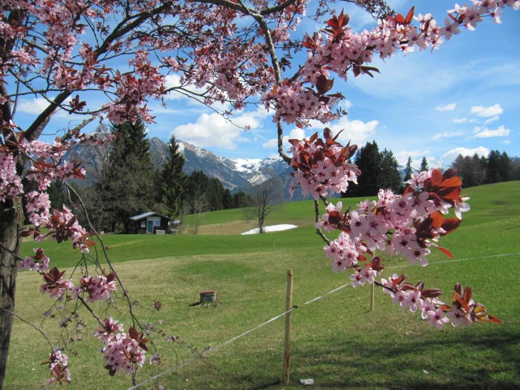Gasthof Seeweg - 3