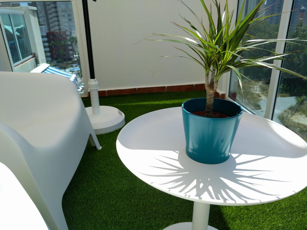 Apartamento Cala Finestrat - 5