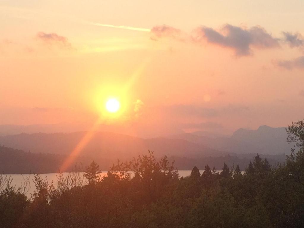 Surrounding environment