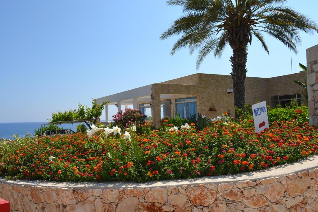 Aphrodite Beach Hotel — Obiekt in Neo Chorio, Region Pafos
