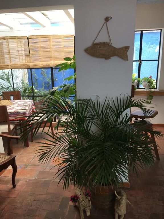 Casa Molcajete — Hotel in Mexico City