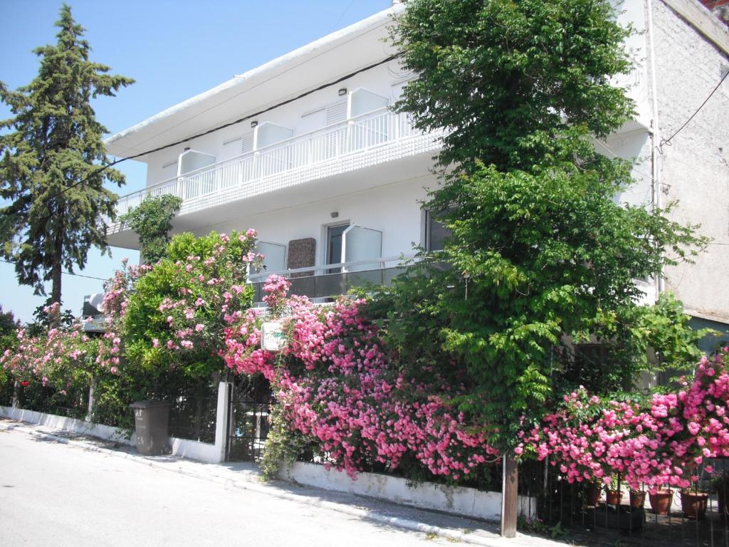 Aris House photo