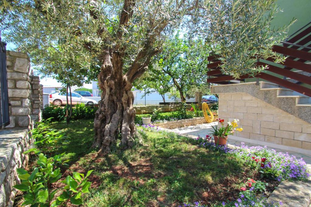 Zelena oaza Apartment, Novigrad – Istrie