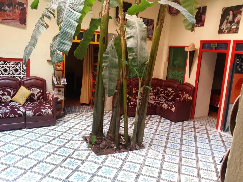 Balcony/terrace, Riad Espagne in Marrakech