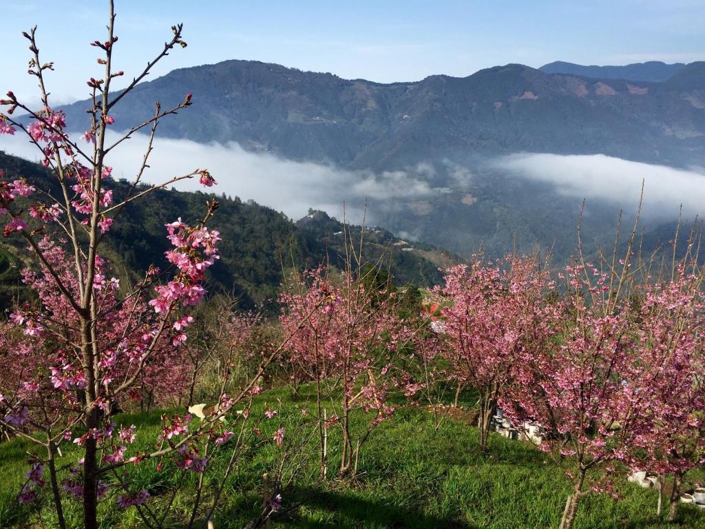 Surrounding environment