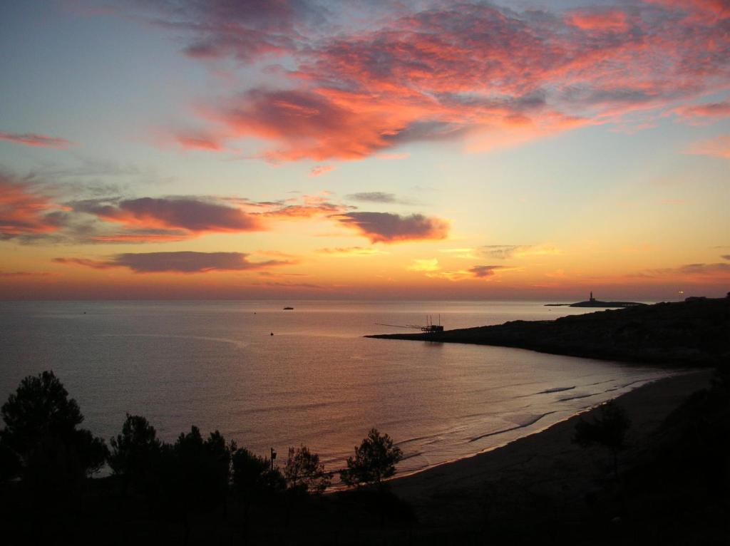 Hotel Palme Gemelle Photo 7