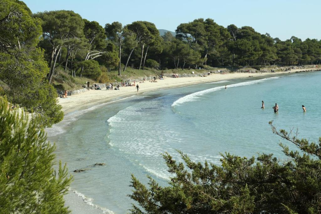Location Corsica - 5