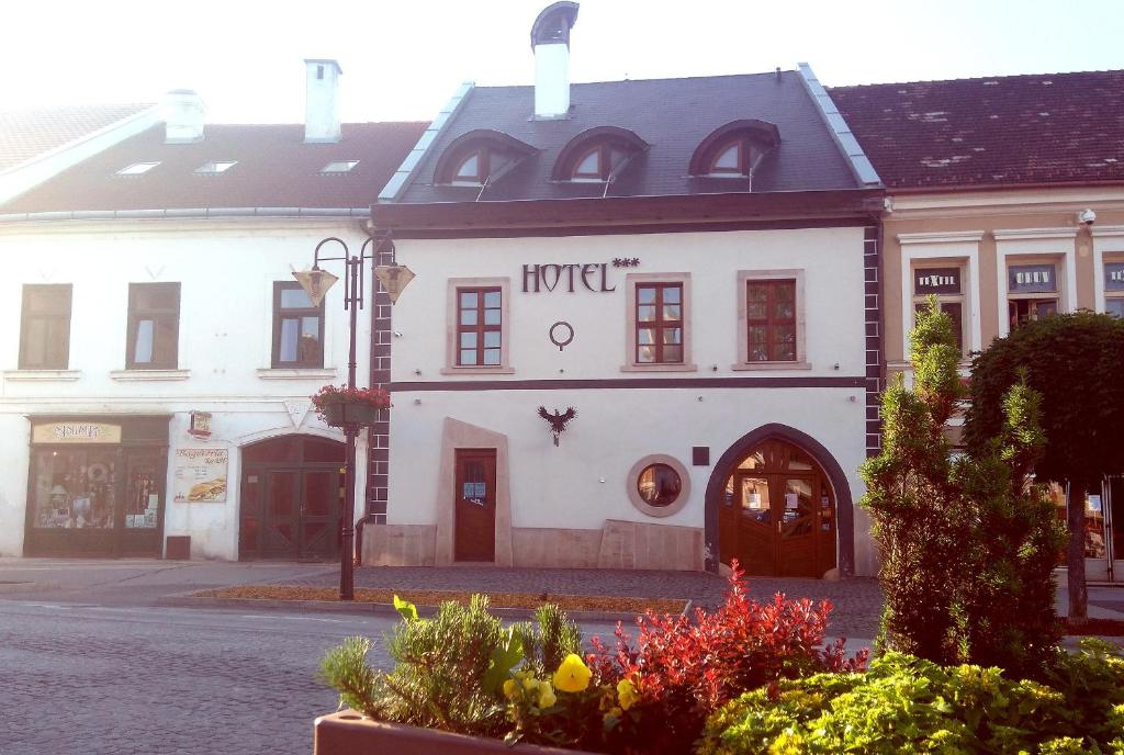 Hotel Cierny Orol — Hotel in Roznava