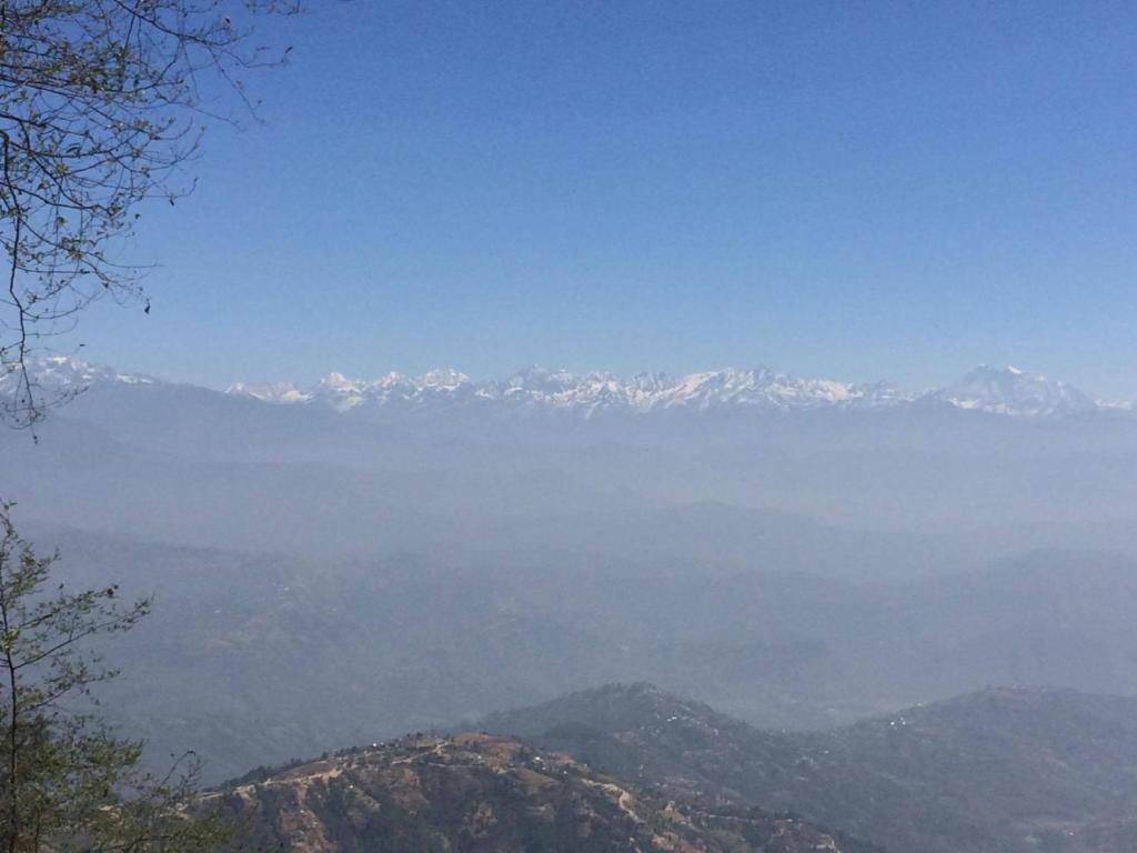 View