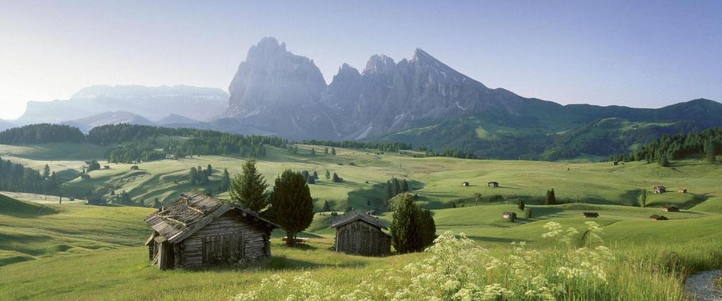 Surrounding environment