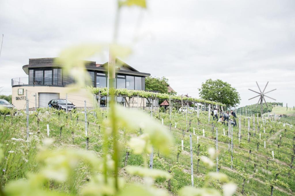 Weinhotel Maitz Wolfgang - 3