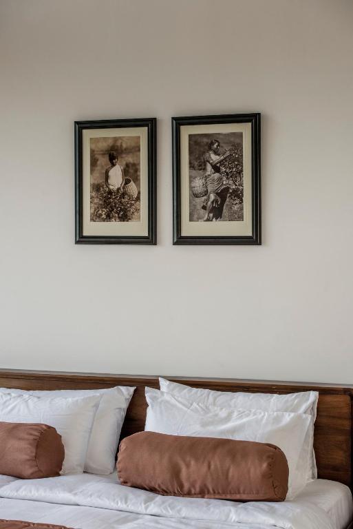 The Bungalow photo